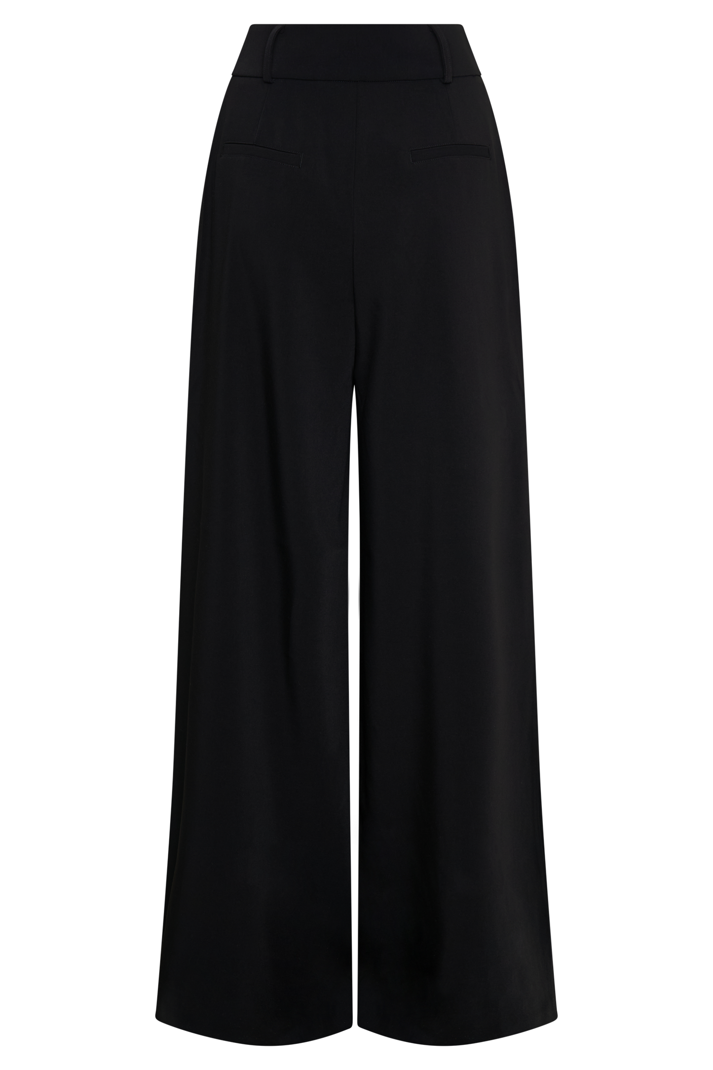 Jacqueline Pleated Wide Leg Pants - Black
