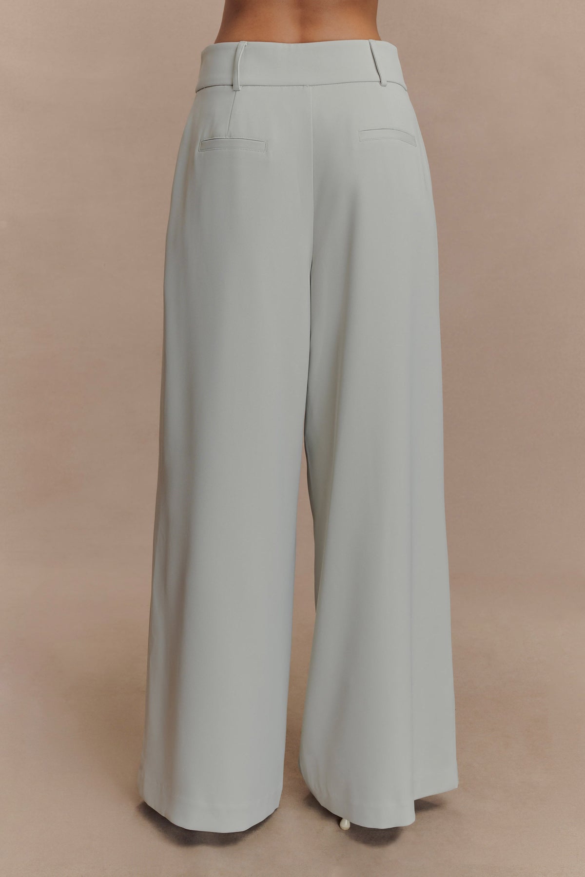 Jameson Pleated Wide Leg Pants - Light Sage #3
