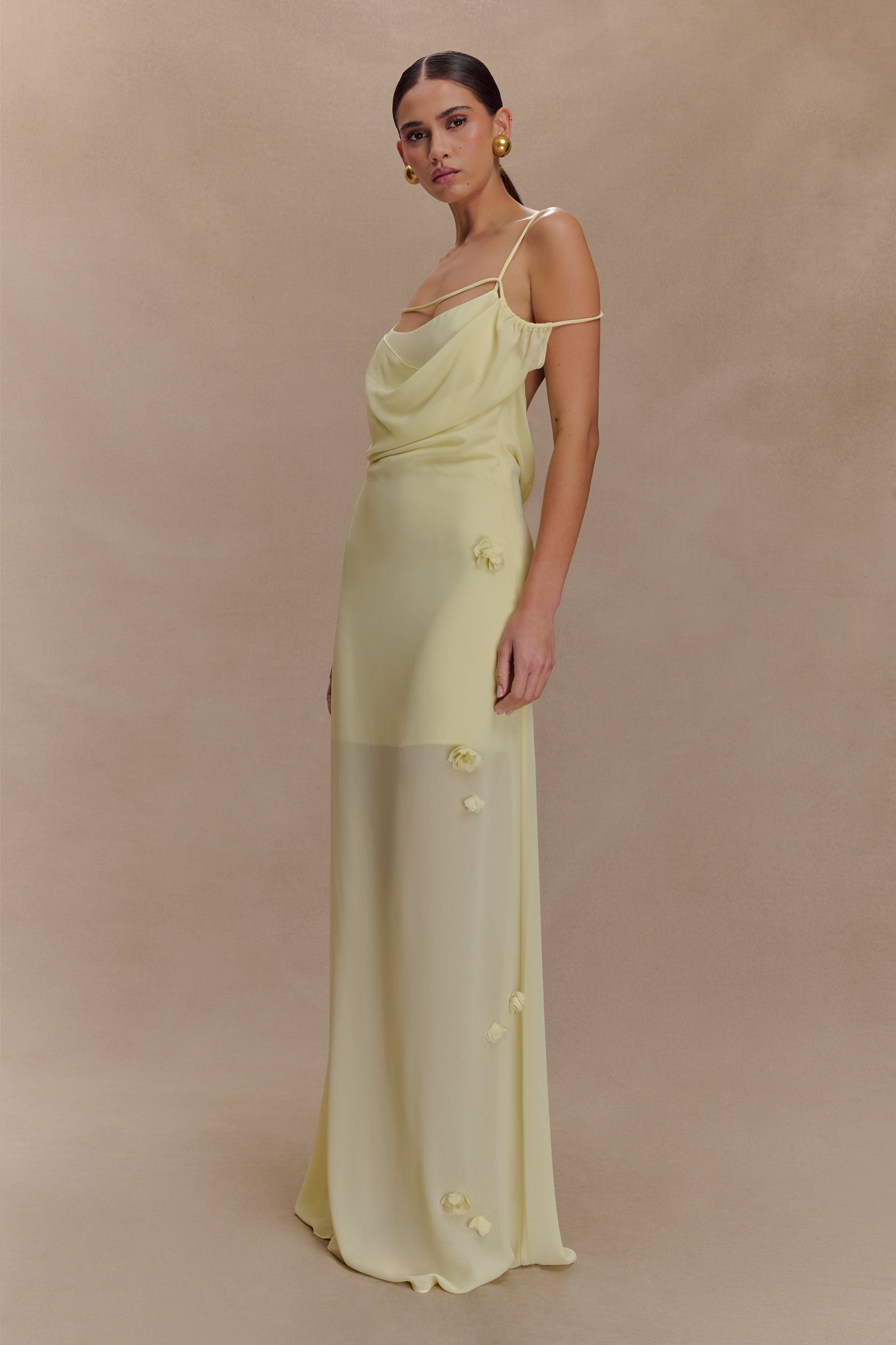 Rosalie Floral Chiffon Maxi Dress - Pastel Lemon #4