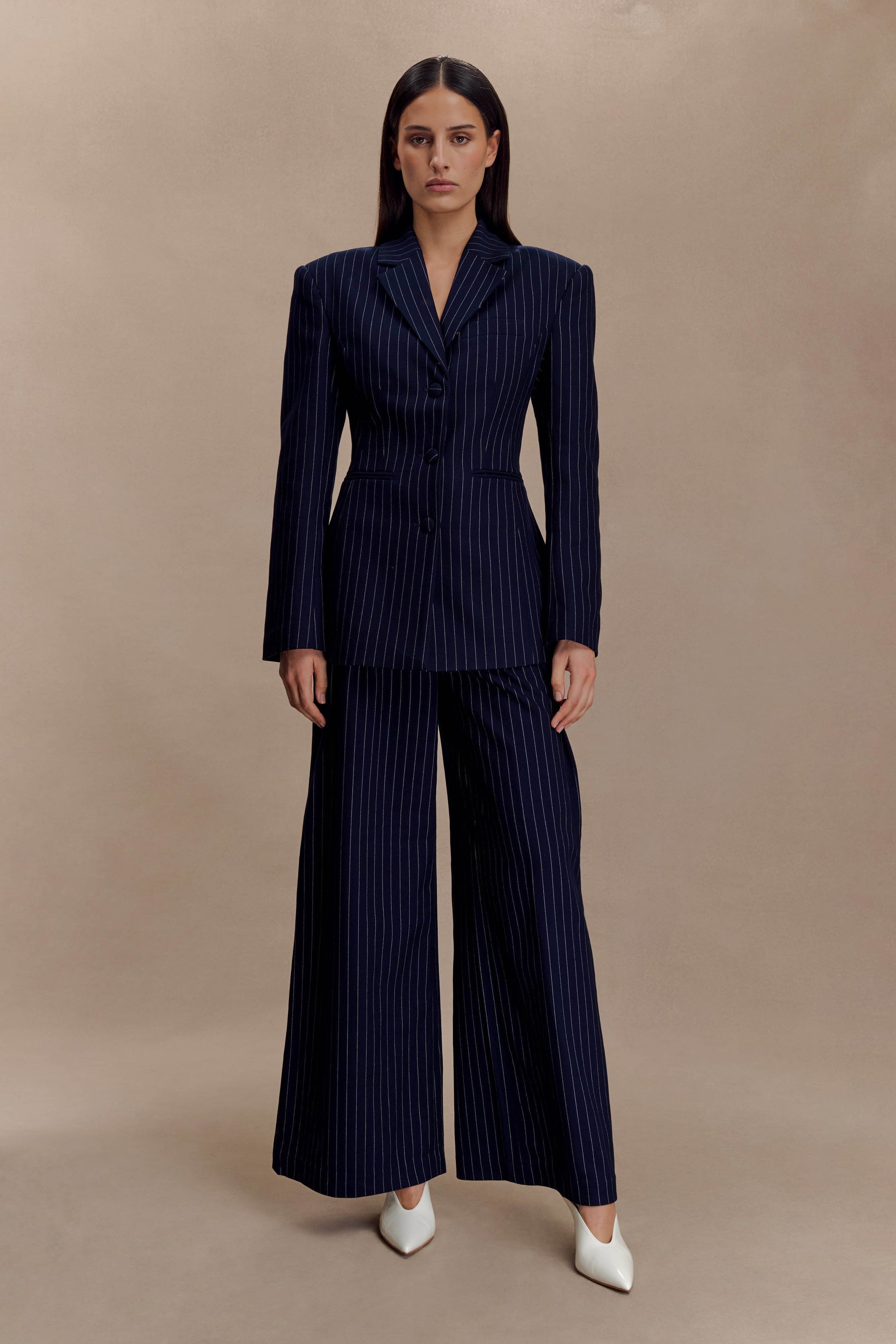 Jacqueline Pleated Wide Leg Pants - Navy Pinstripe #2