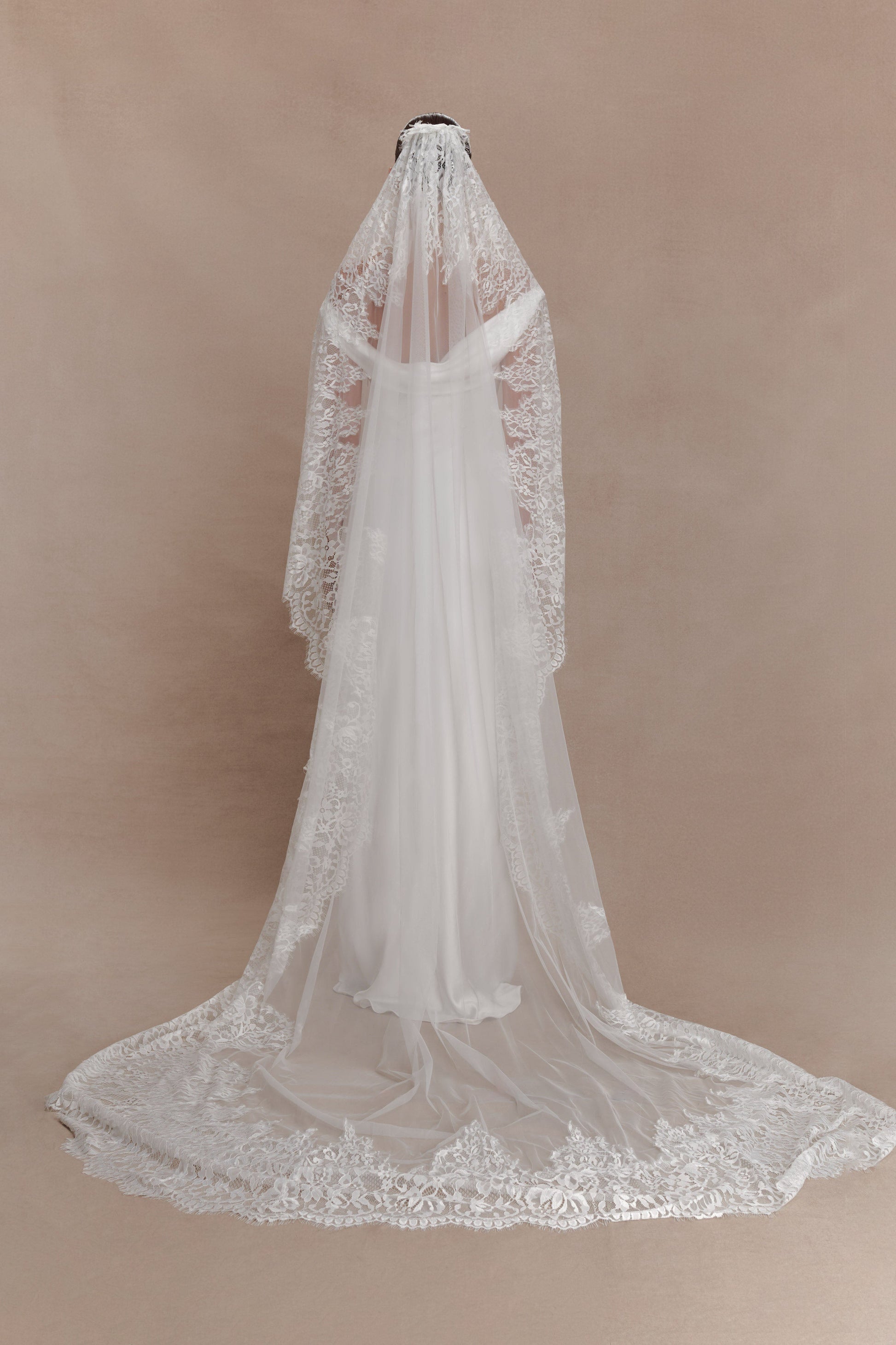 Cassia Lace Trim Veil - White #2